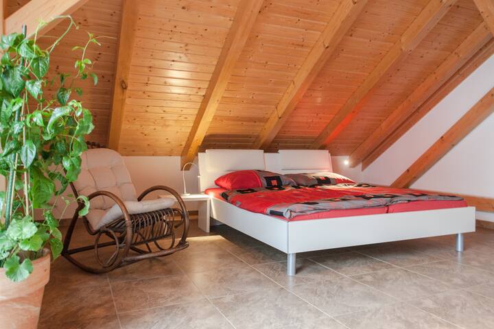#LEipzig - 60sqm "Saxon Suite" 1-6 persons 2rooms