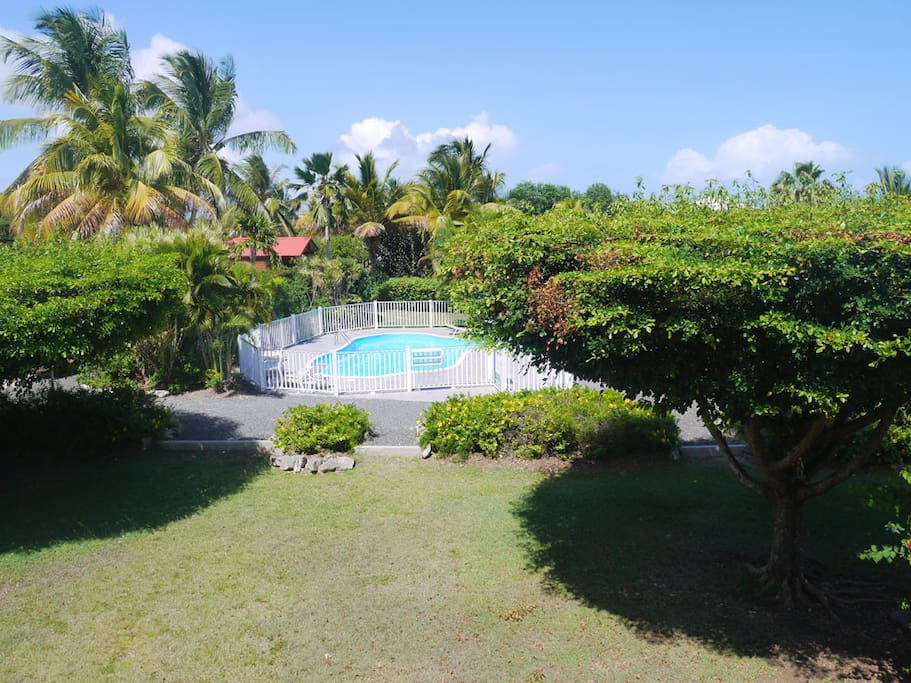 vue piscine et mer, jardin tropical