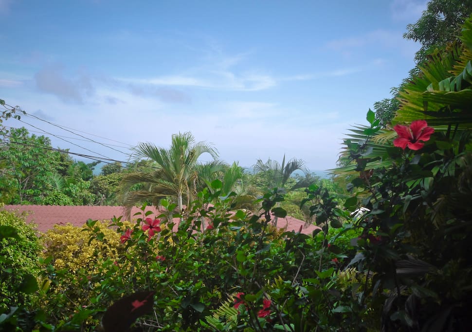 The view from the front door.
