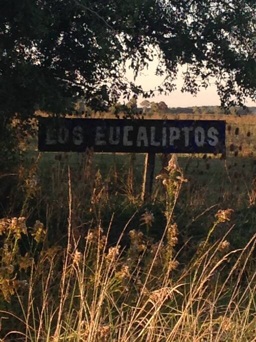 Paraje Los Eucaliptos, el más cercano a Las Moras.