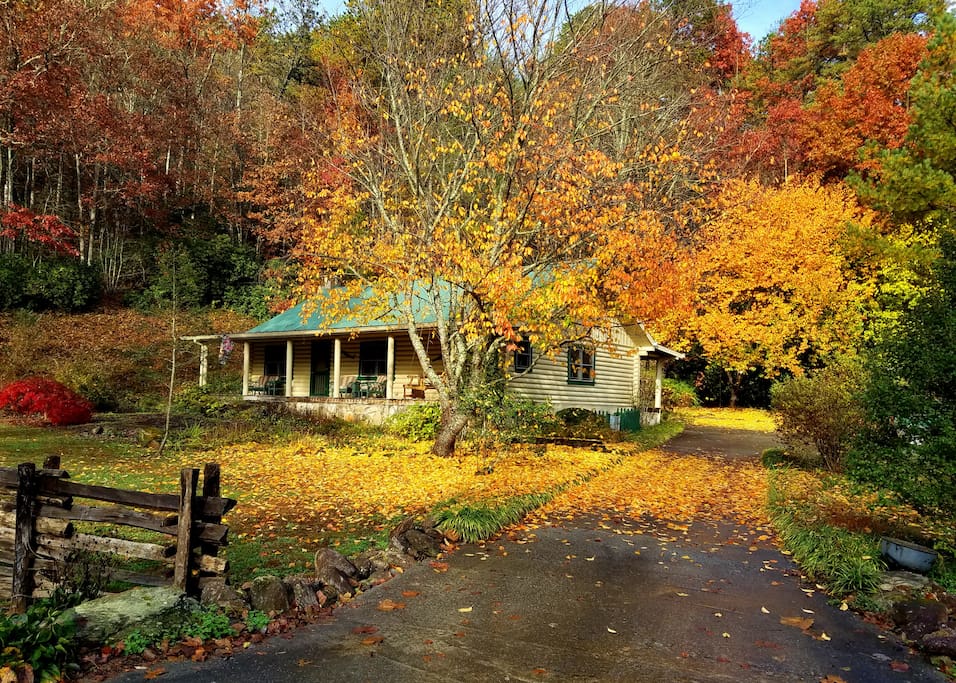 Betty's Creek Cabin Late Fall