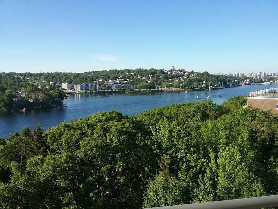 View from balcony