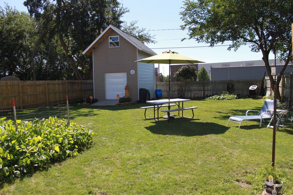 Back yard