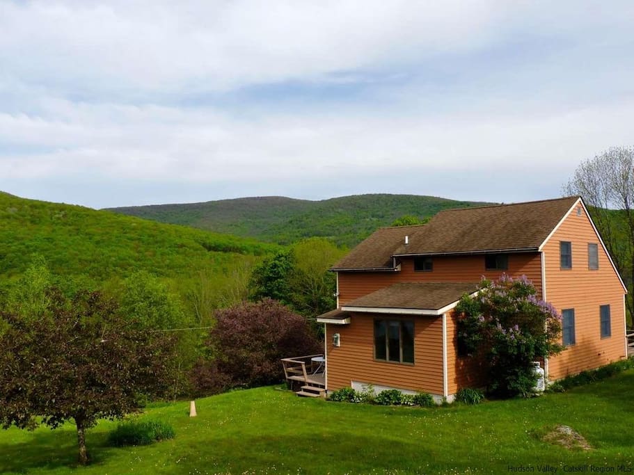 Mountain views!