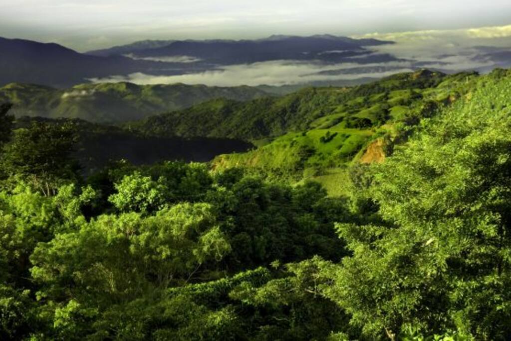 Vista panorámica de la zona