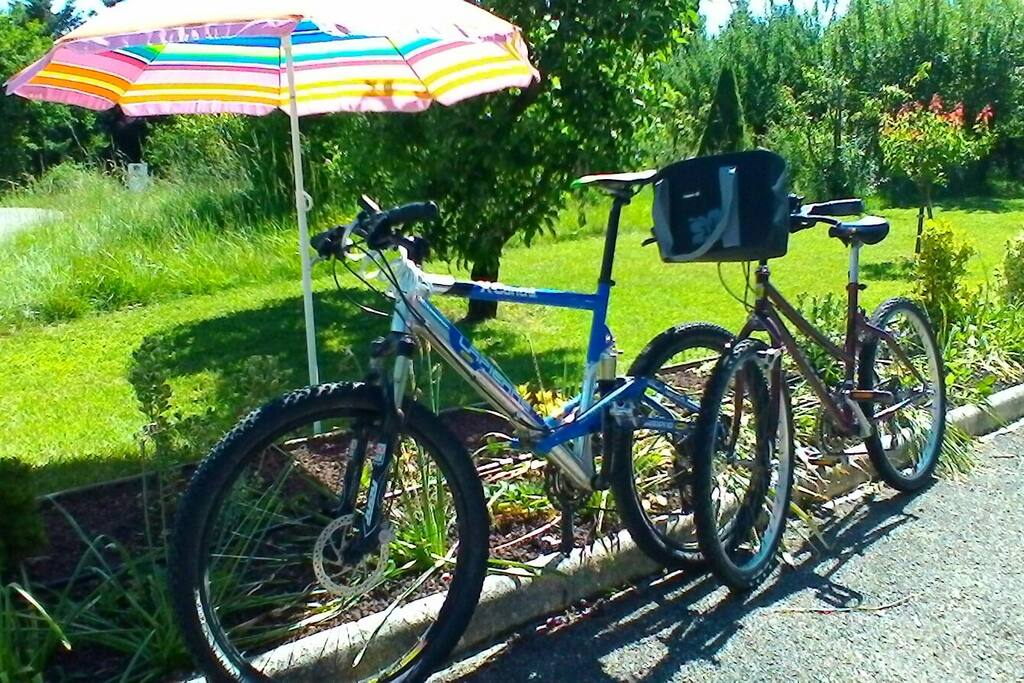 une suggestion de promenade : le tour du lac à vélo
