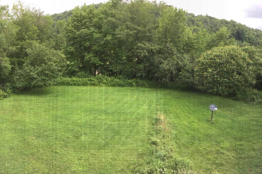 Room #3 - View out window