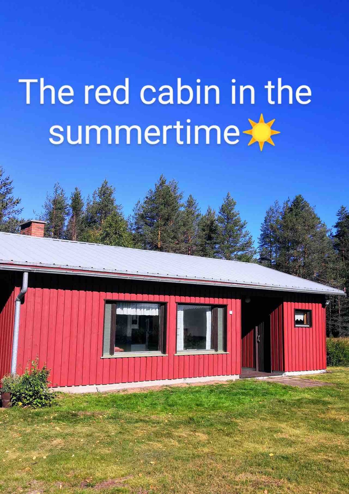 The cabin is set against a backdrop of tall trees and clear blue sky, showcasing its red exterior and large windows. A well-maintained grassy area surrounds the cabin, inviting outdoor relaxation and enjoyment of the natural surroundings.