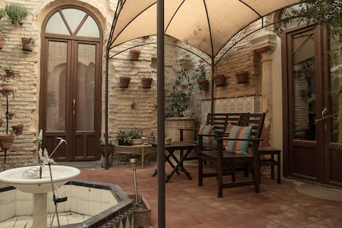 Room in medieval house, WIFI,pr.bath,kitchenette