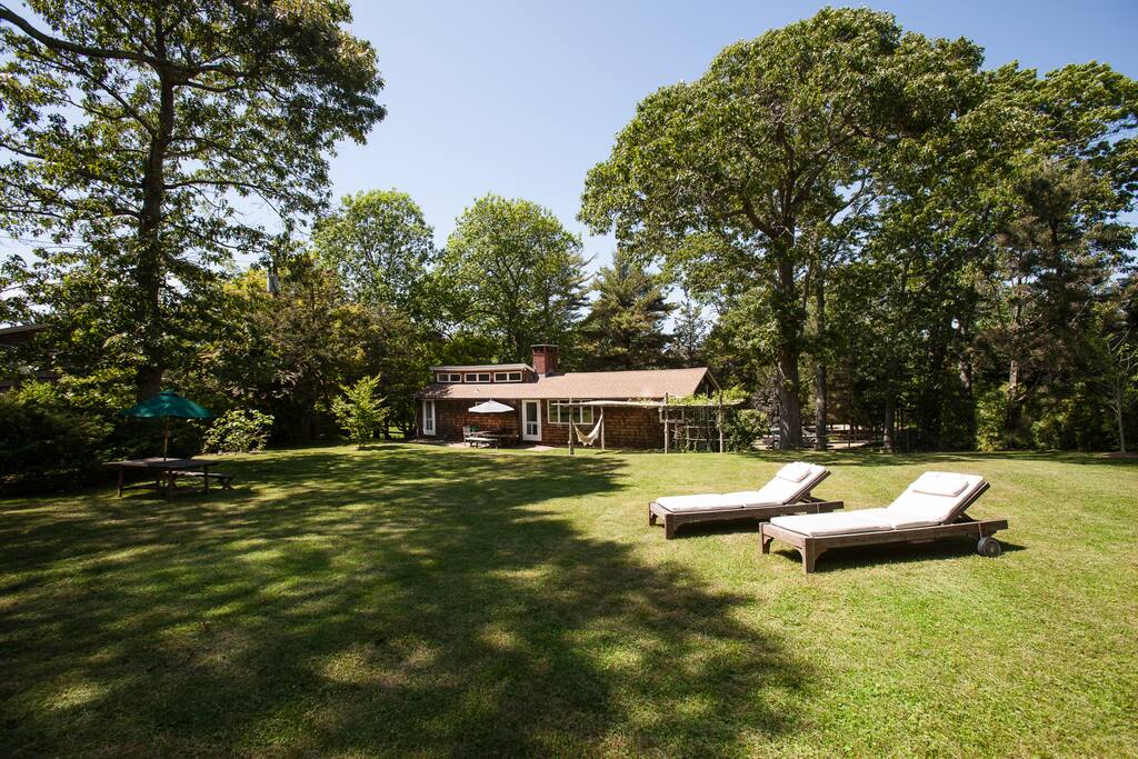 View from the garden