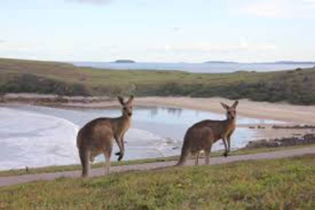 Headland walk