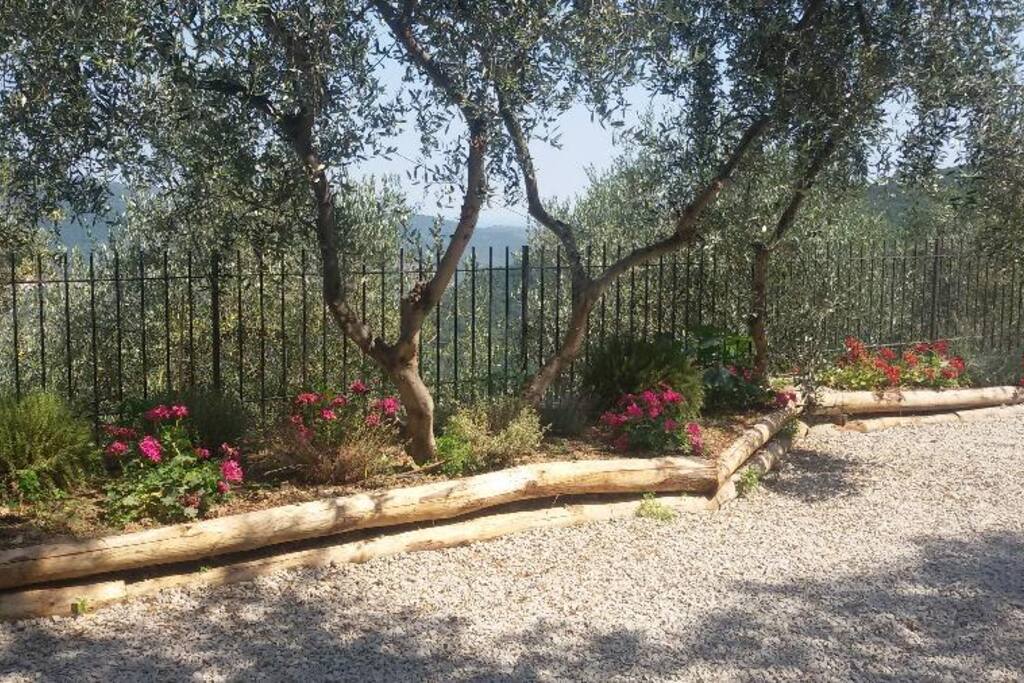 giardino