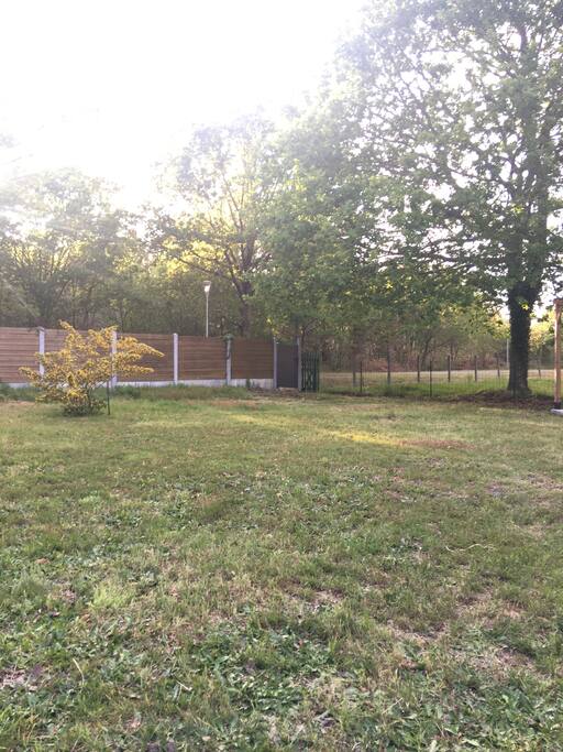 Jardin côté terrasse.