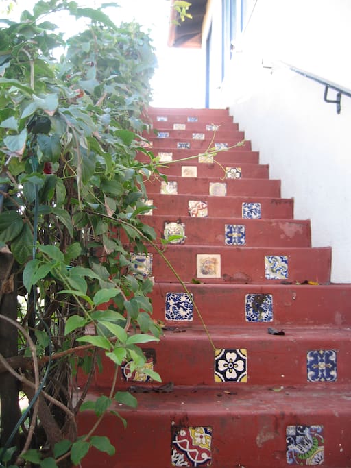 Front steps.