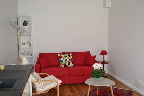 Successful Airbnb property: Versailles apartment near the castle in Versailles