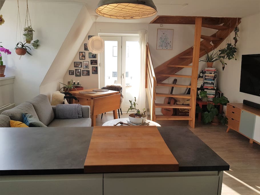 Kitchen and living room
