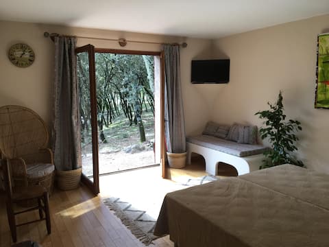 The nature room