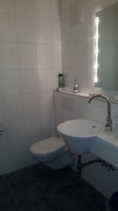 Private toilet