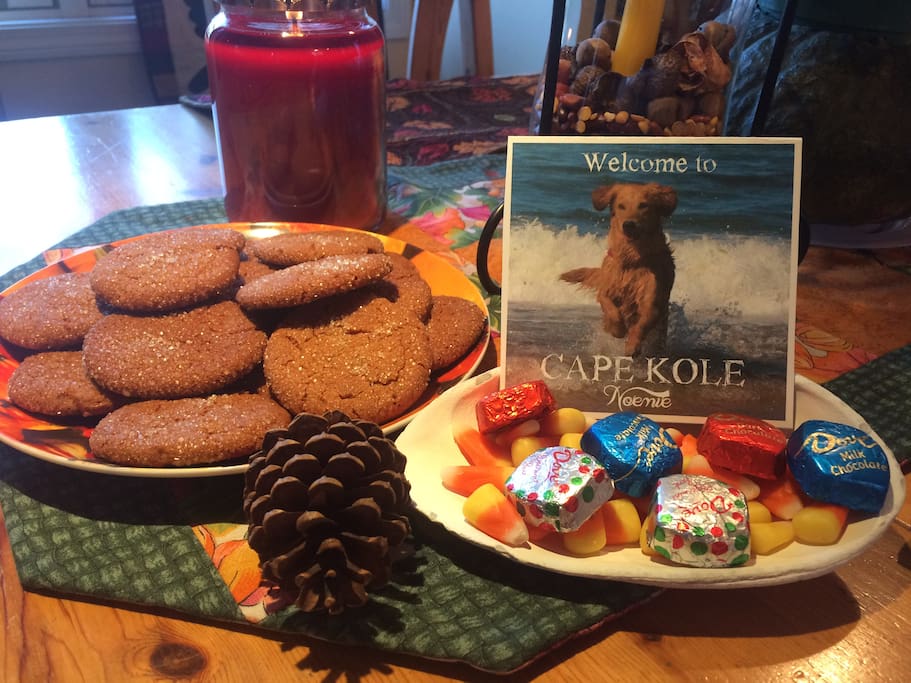 Home-baked goodies and two warm, friendly Golden Retrievers will greet you when you arrive.