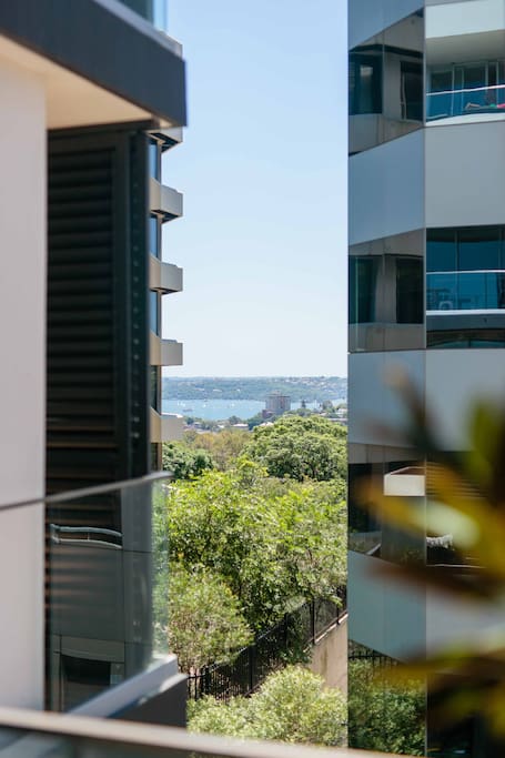 Gorgeous Sydney Harbour as viewed from the front terrace
