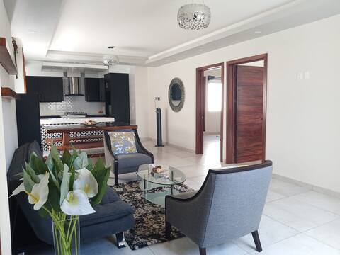 Brand new apartment