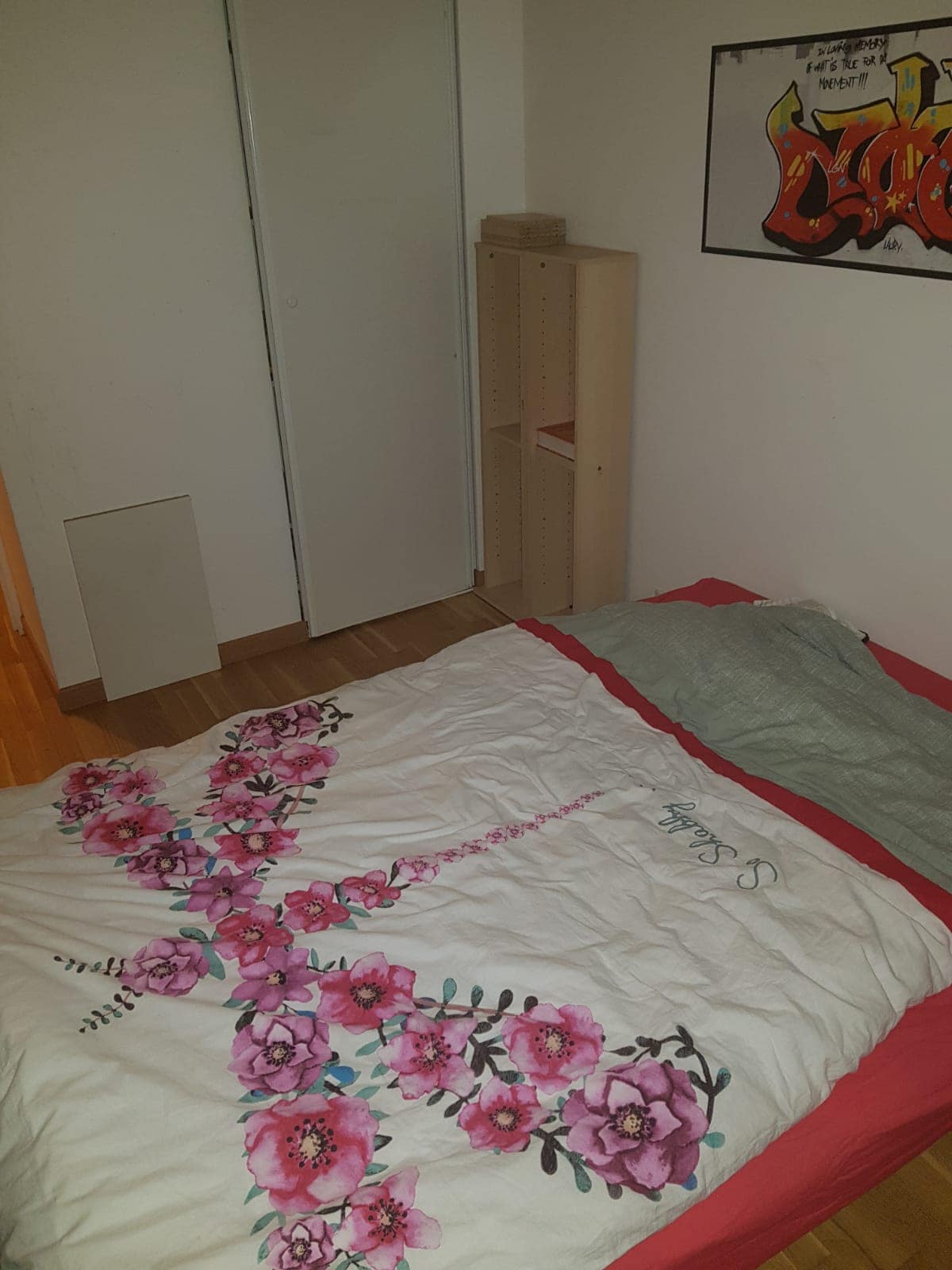 Spavaća soba 2 s rasporedom spavanja za dvije osobe(clic-clac) tako da nije preširoka..s pogledom na mali vrtni ormar s policama