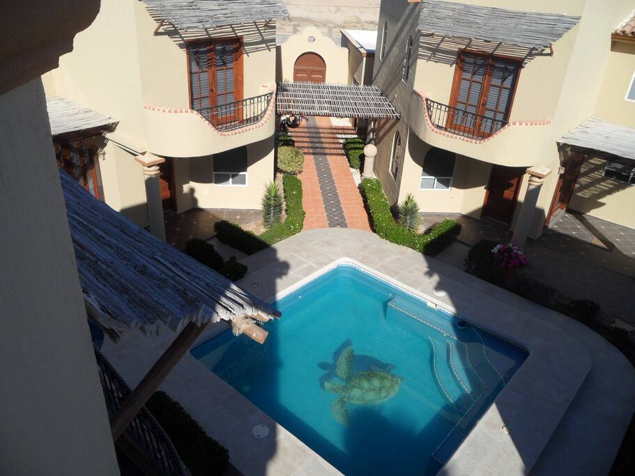 Aerial view of the pool