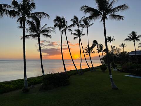 Molokai Adventure