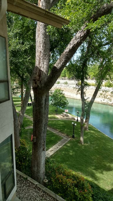 View from Condo