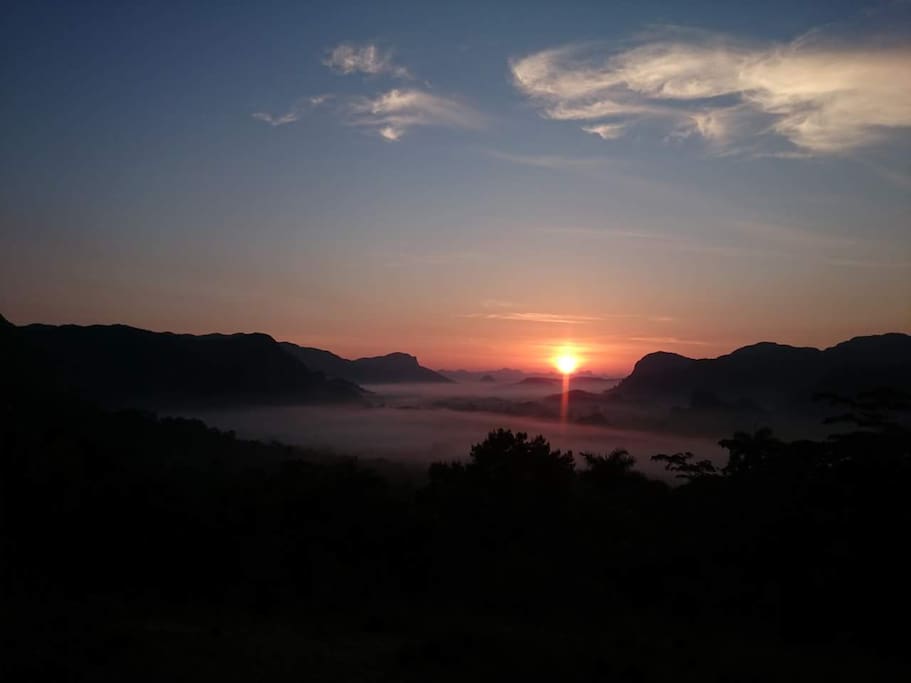 vista desde los acuaticos
