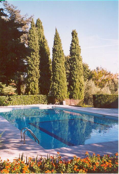 La piscine : 20m sur 10m, en mosaique