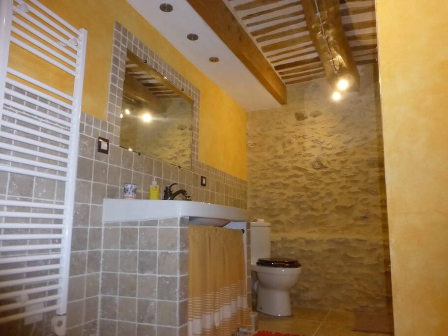 Salle de bain spacieuse avec douche italienne