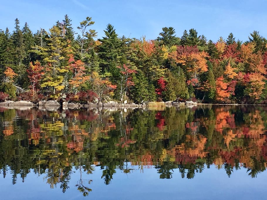 A view of lake foliage (with mirrored reflection) from the water in the fall - leaves starting to turn