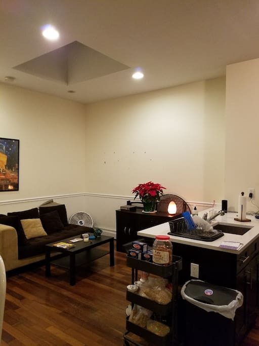 Living Room/Kitchen.