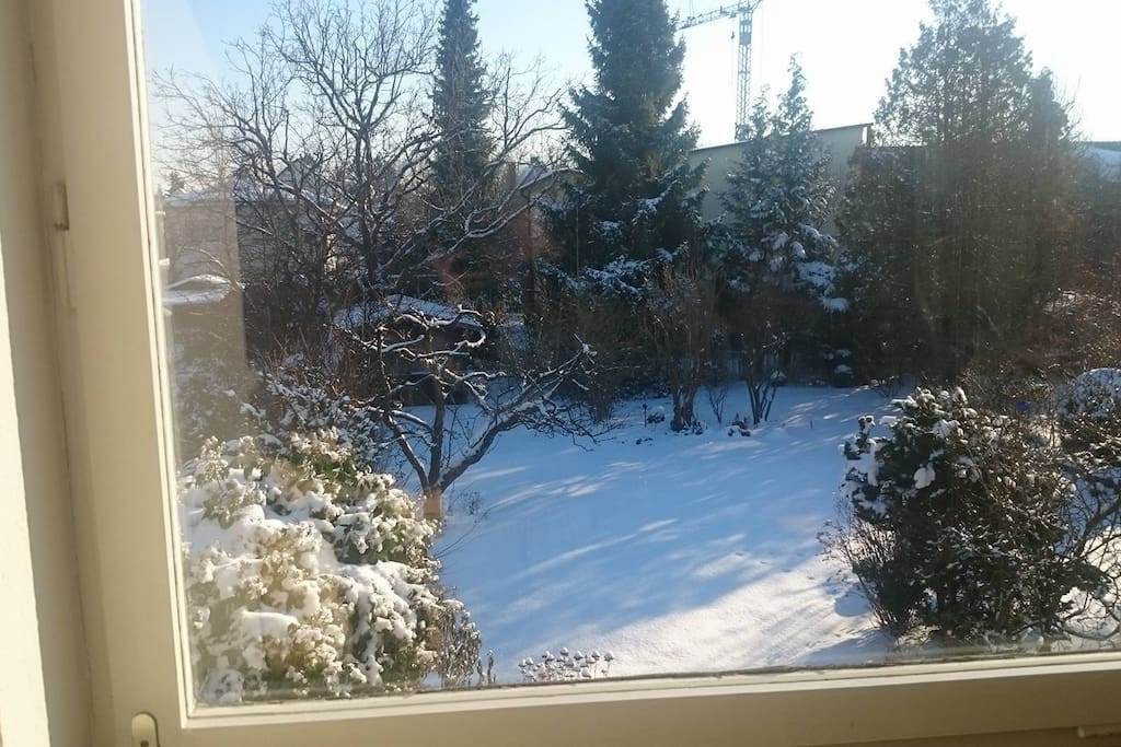 Blick auf den Garten/ Garden view