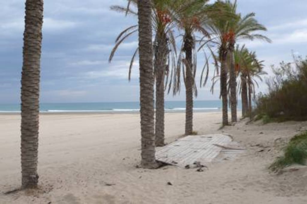 Beach