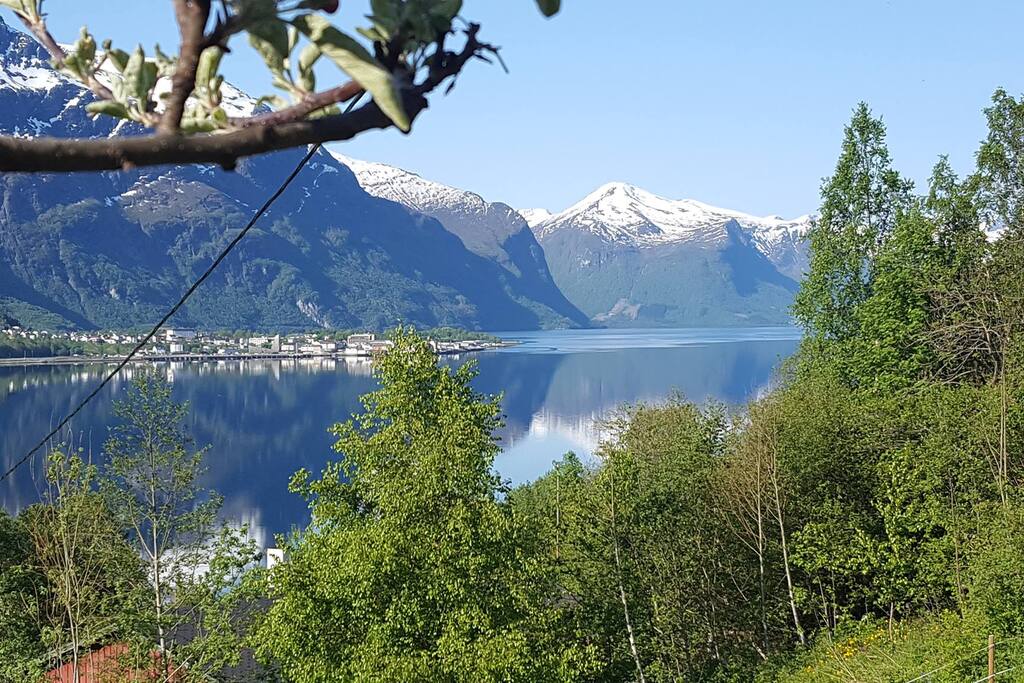 Utsikt fra gården