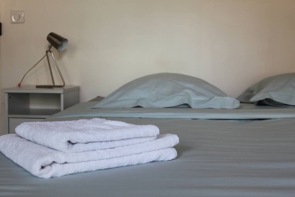 Draps et serviettes fournis /
Bedsheets and towels provided