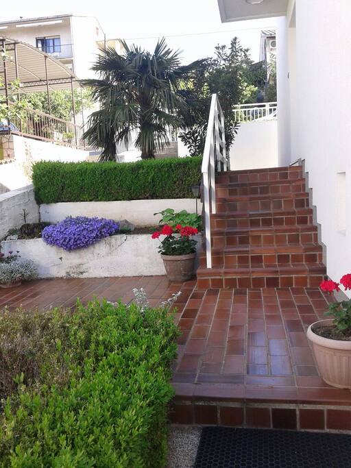 Garden in May