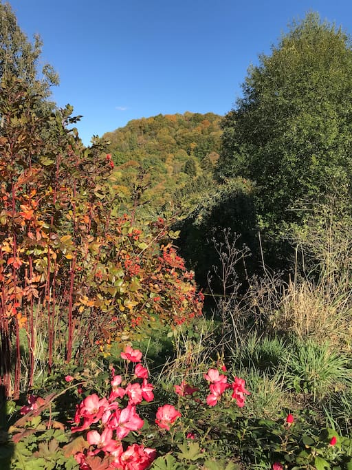Herfst begint te kleuren en het burlen is op het terras volop te horen.