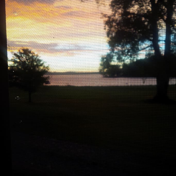 View out enclosed front room