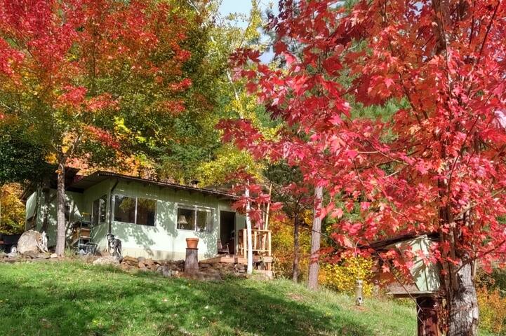 Airbnb Cottage Grove Vacation Rentals Places To Stay