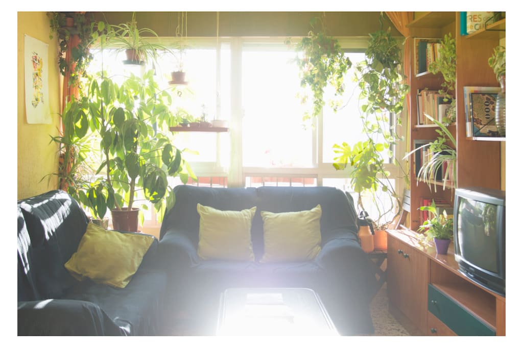 Salón
Living room
