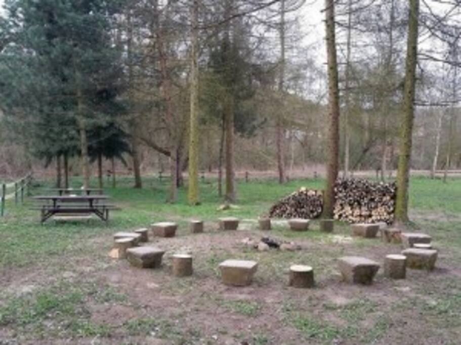ohniště, dříví si nanosit z lesa