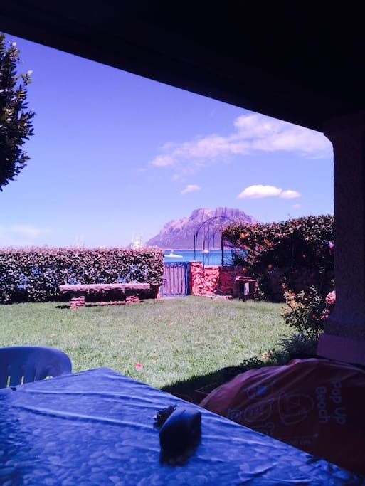 Il giardino con il cancelletto..