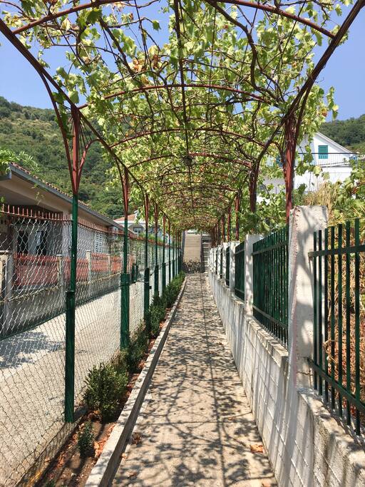 access path