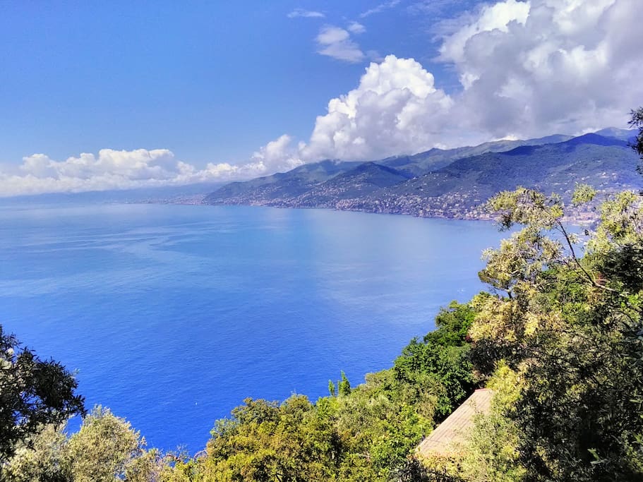 view from San Rocco's church