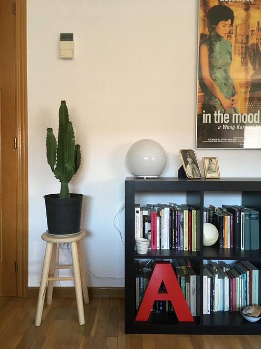 Numerosas estanterías con libros. Detalle de la decoración del salón.