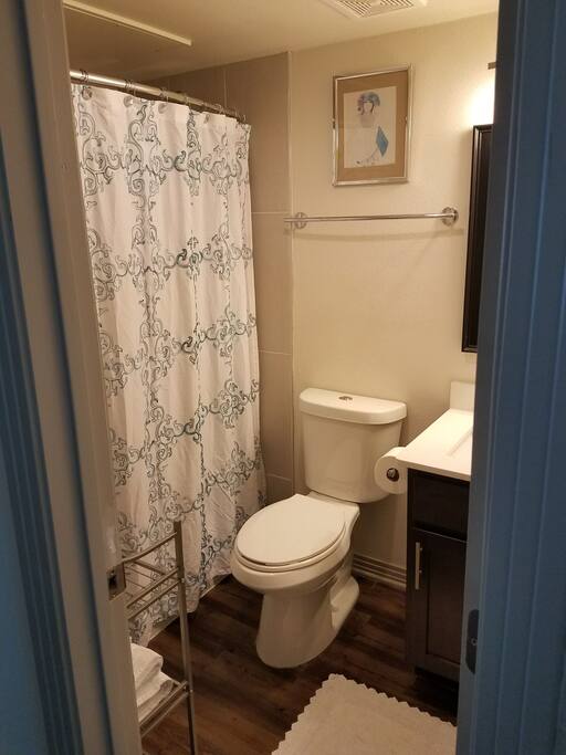 Full shower in guest bathroom.