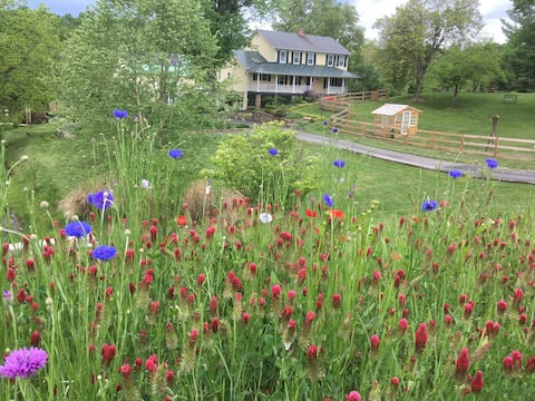 Loudoun Wine Country Rustic Farm Retreat!